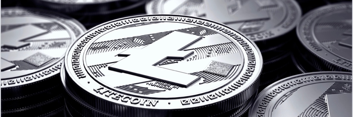 Litecoin Ricky Ⓜ️🕸️'s banner