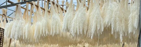 sayefloral Profile Banner