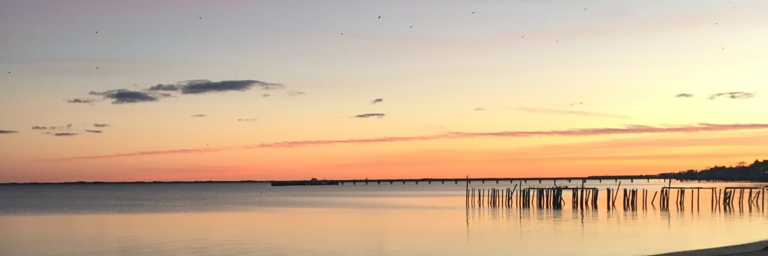 bevinb83's profile banner image