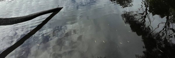 dayzrsm0ll Profile Banner