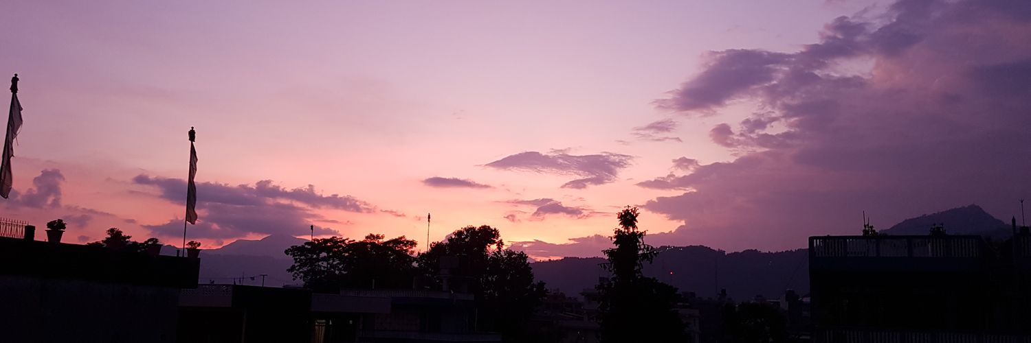 fried rice is life banner