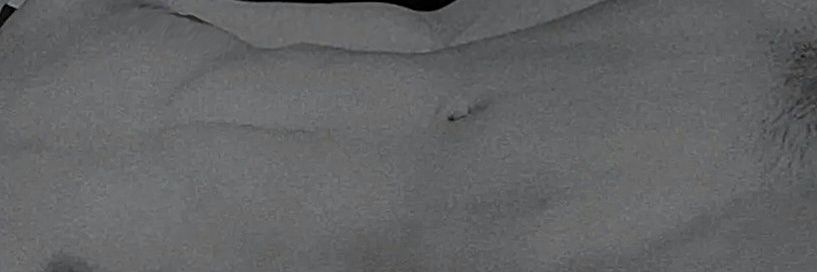 ⚜️ Fer ⚜️ banner