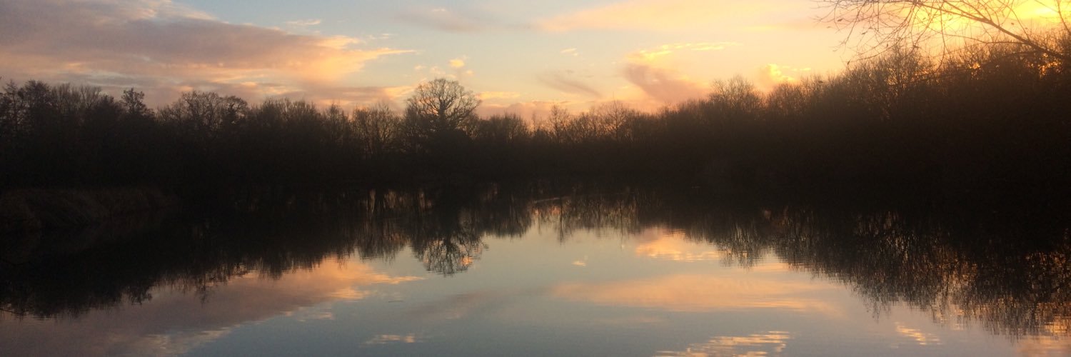 Elliot Smither banner