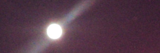 lepusmalui's profile banner image