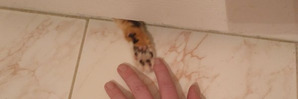 mateornaut Profile Banner