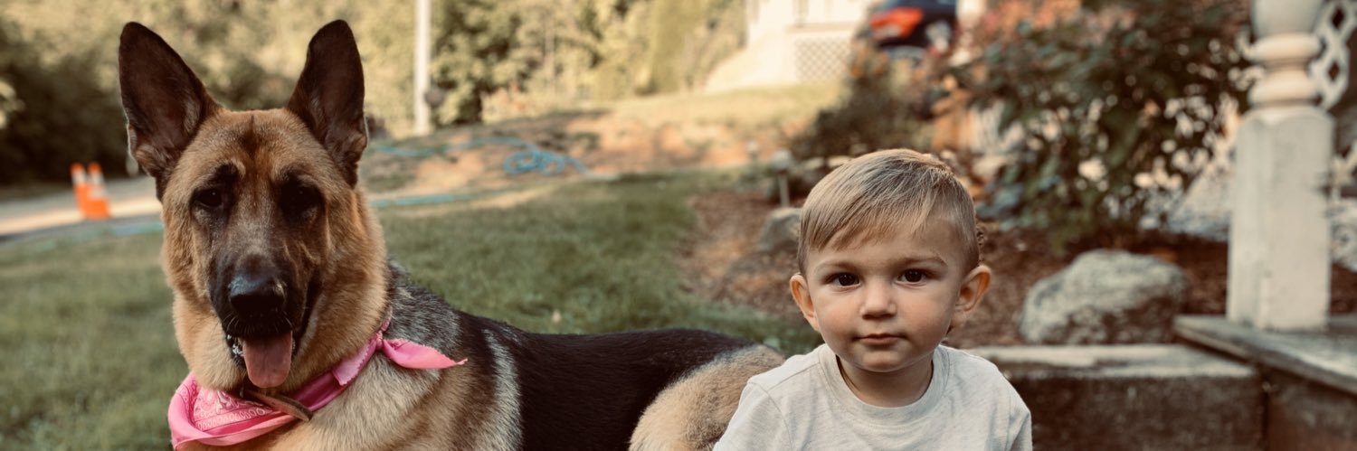 lib_winchester's profile banner image