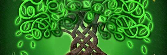 m_oscare's profile banner image