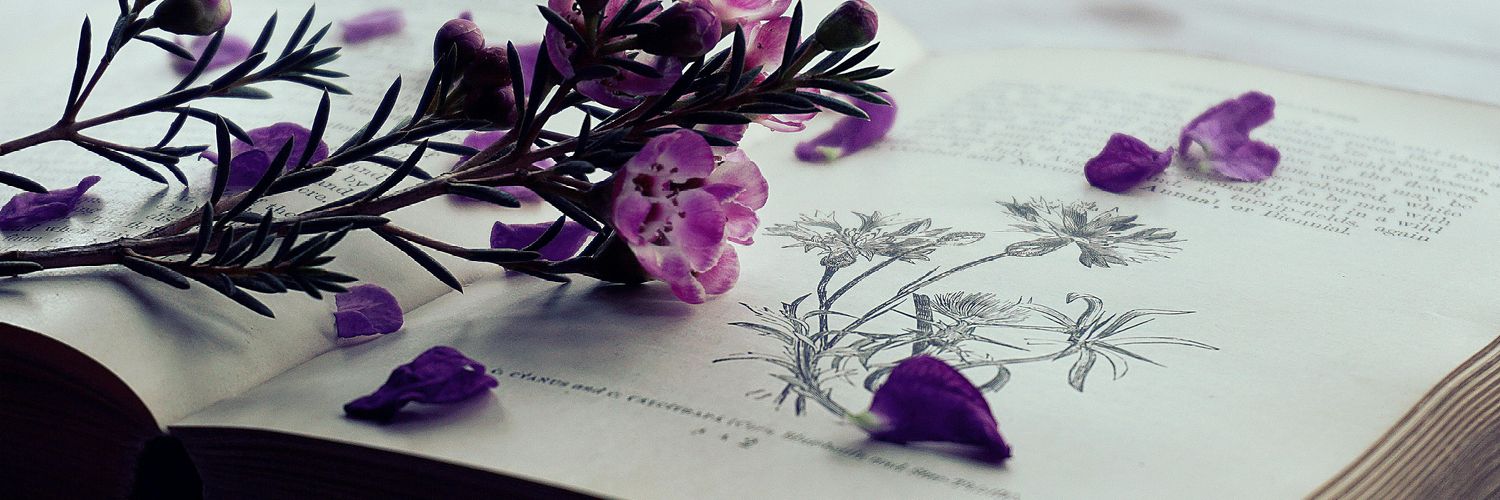 aiqqa11_'s profile banner image