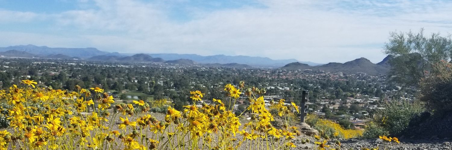 zmattm's profile banner image