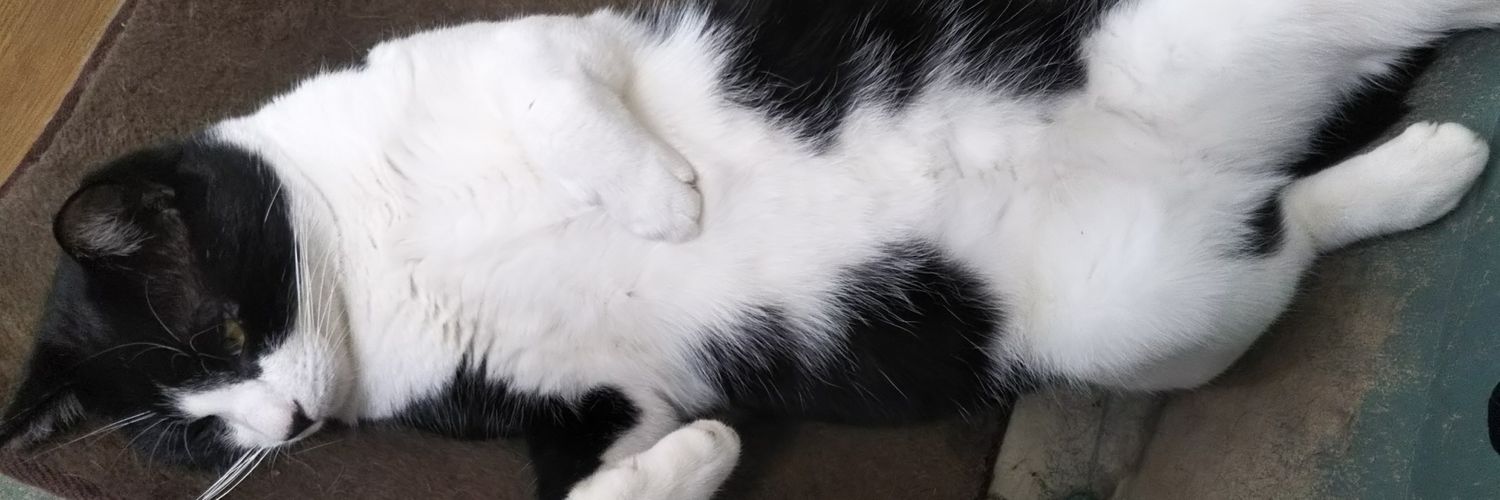 nekoda44's profile banner image