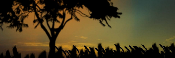 CRHelix Profile Banner