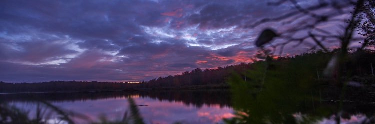 nickkravitz1's profile banner image
