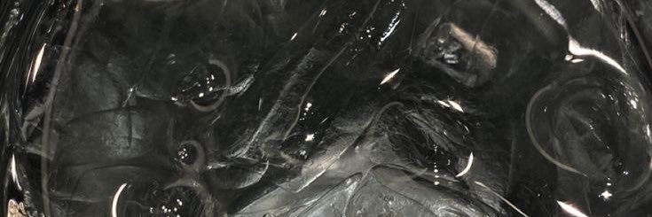 iaiqq's profile banner image