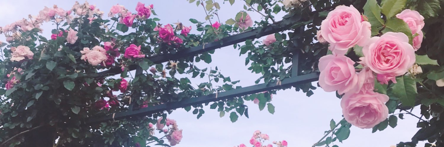 メリ banner
