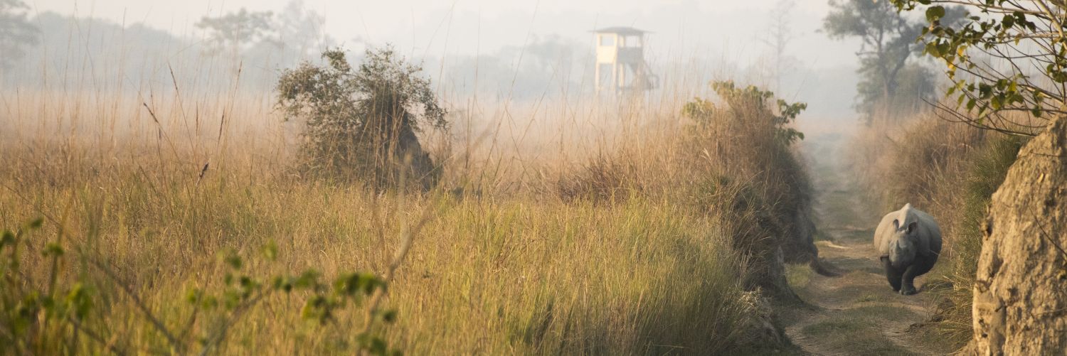 Dudhwa Tiger Reserve's banner