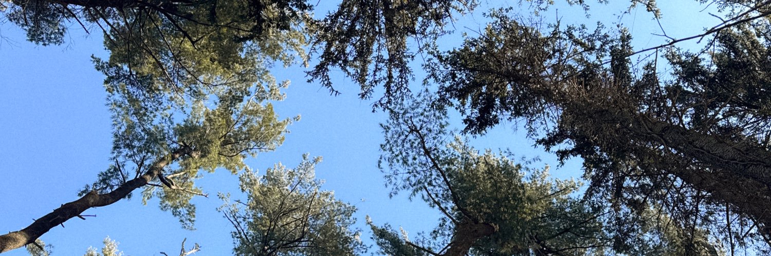 emmyacox's profile banner image