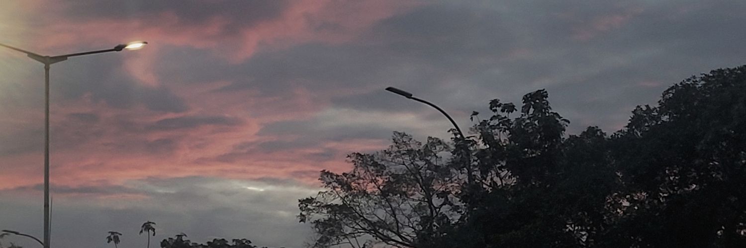 ᶜᵃᶜᵃ𓍢ִ໋🌷͙֒ banner