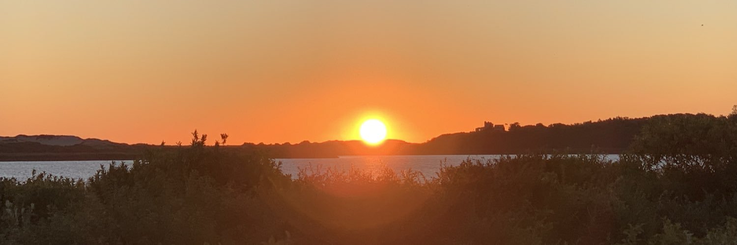 LaurieEMcD's profile banner image