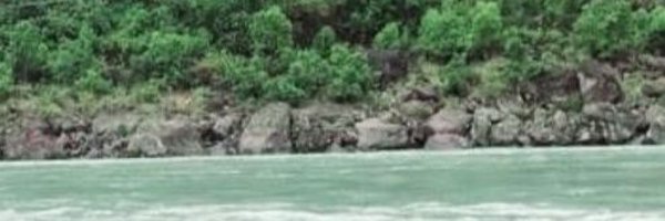 Garima_pall Profile Banner