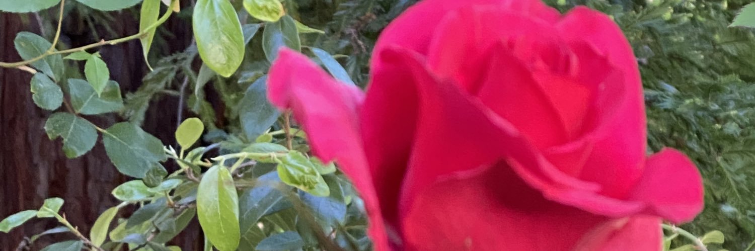 RetToGoLyft's profile banner image