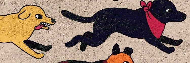 OSantiagoFF's profile banner image