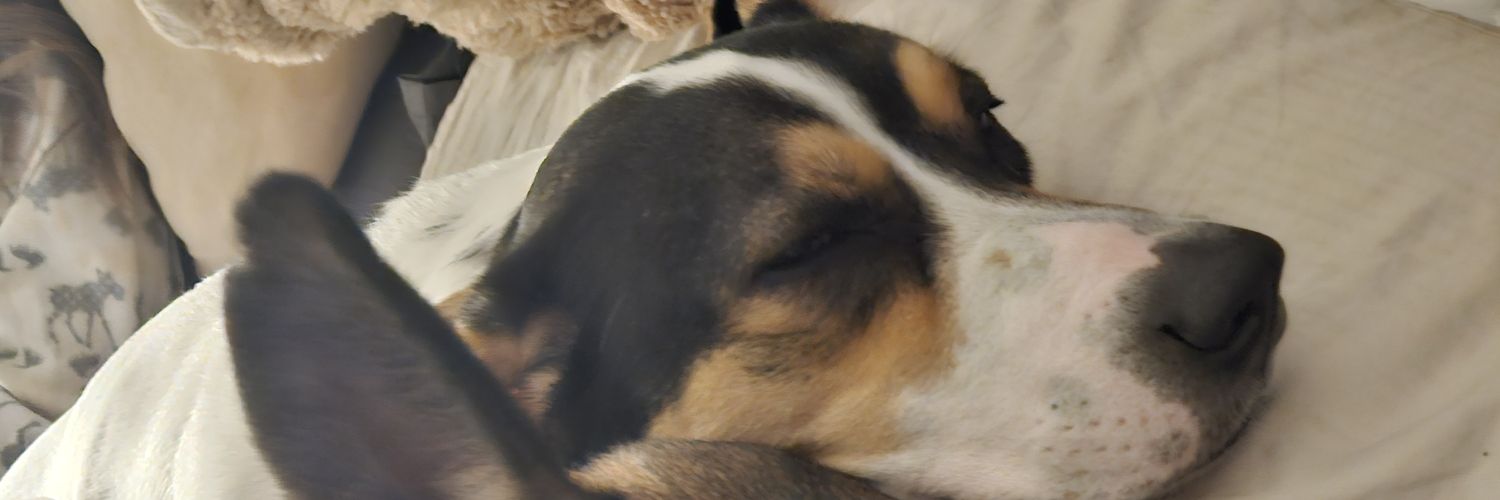 Micheal Marchand banner