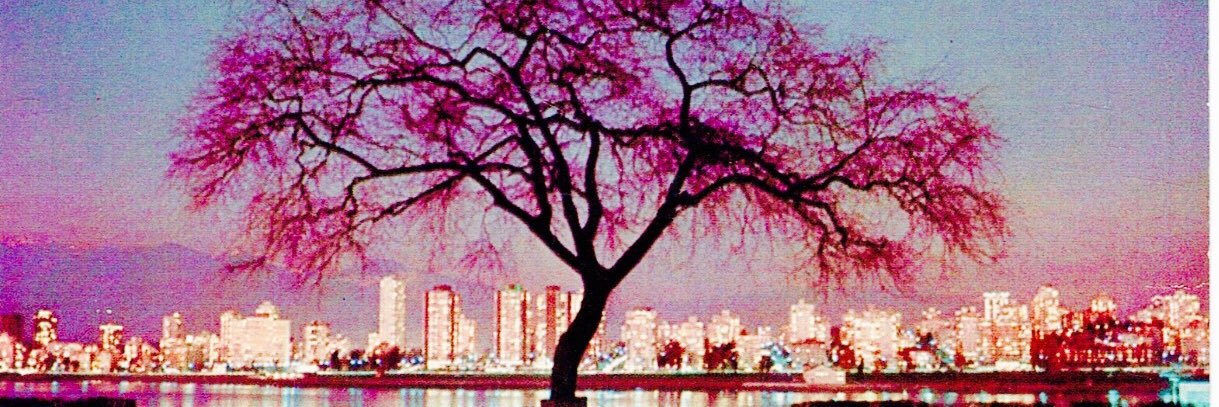 mitchell kezin banner