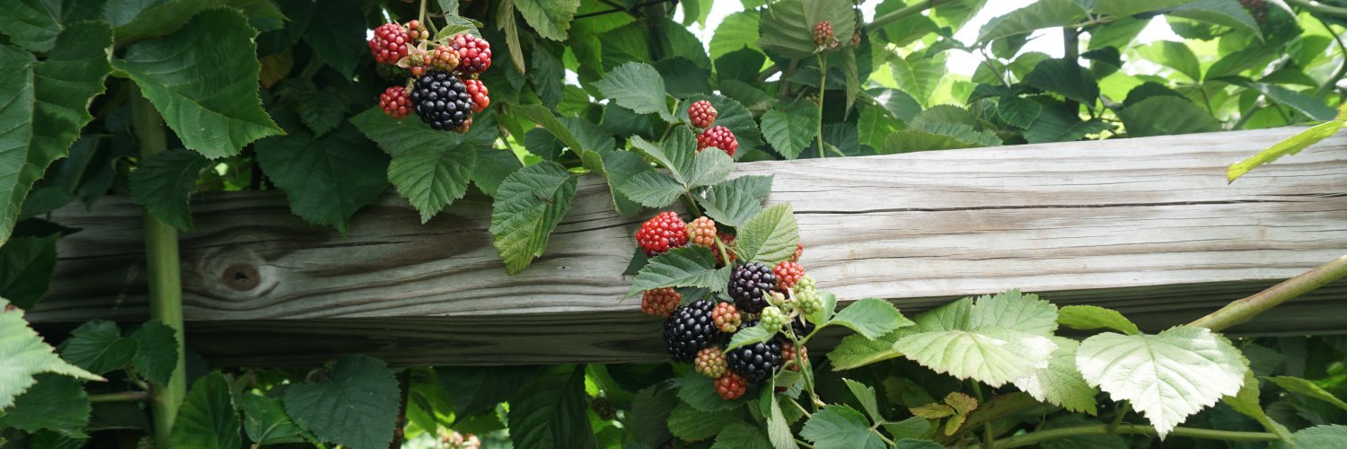 Fishkill Farms banner