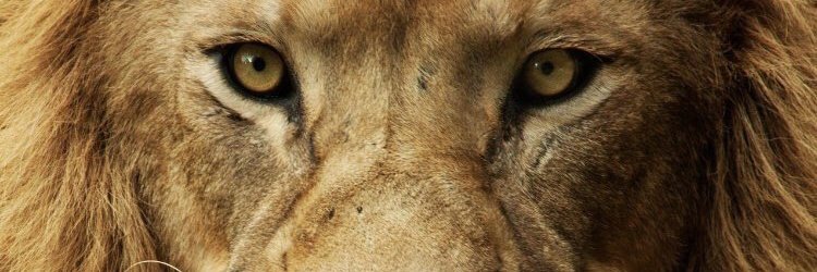 mbtburak's profile banner image