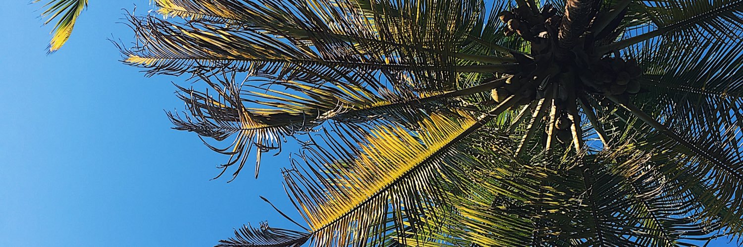 britalvarez2's profile banner image