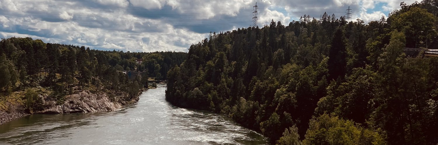 Matteus Esmerson banner