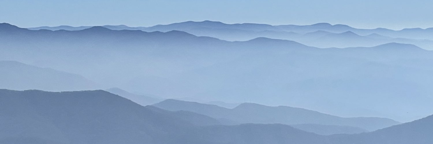 Ryan Leisure banner