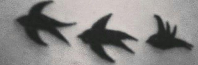 Carii_too's profile banner image