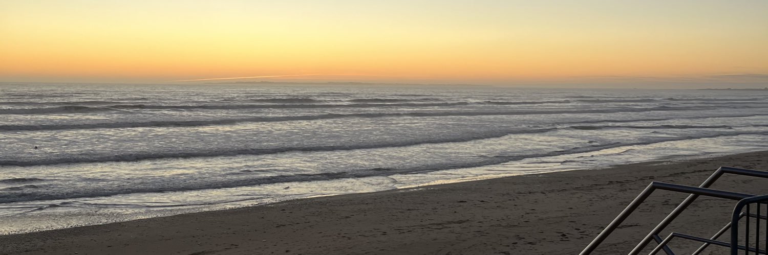 CamilleBerrou's profile banner image