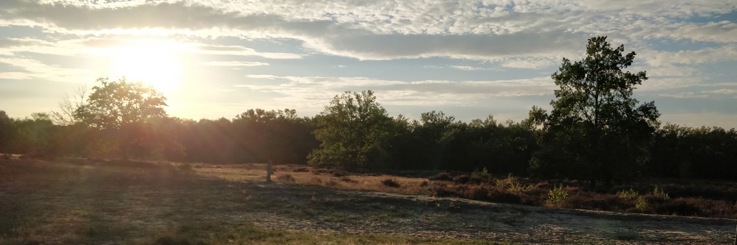 Gea_VO's profile banner image
