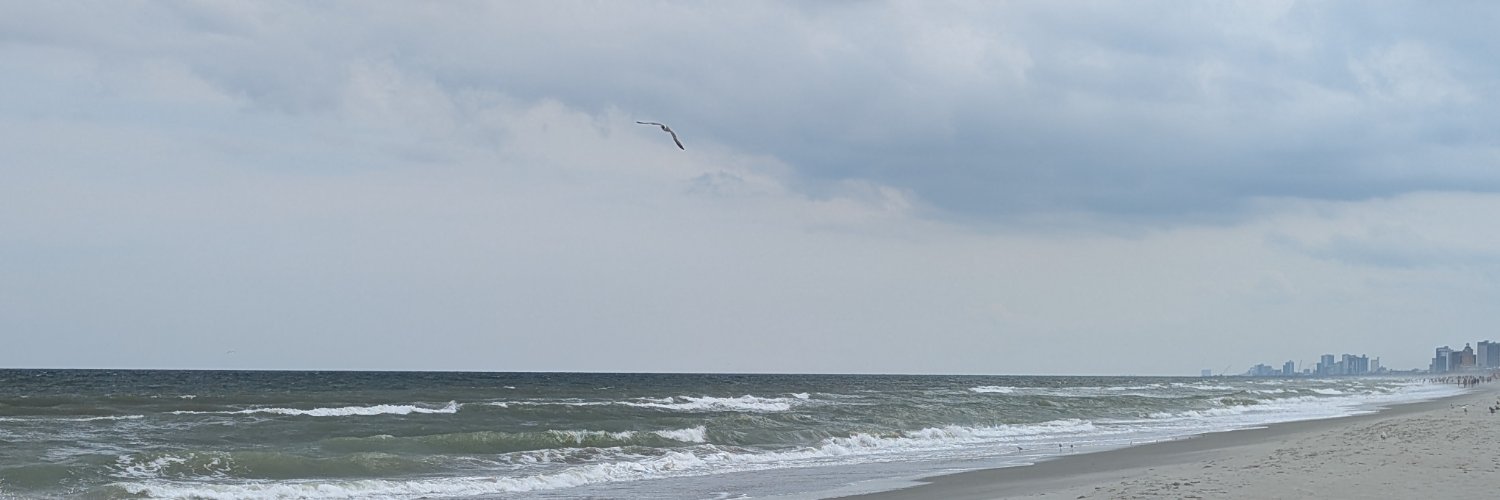 ashrmyrs's profile banner image