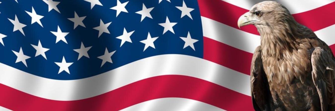 FreedomFighter banner