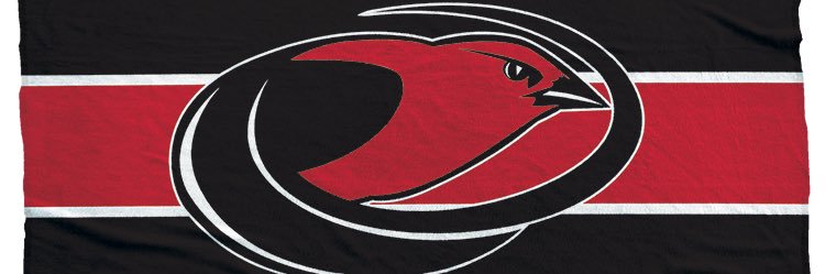 Vermillion Boosters banner