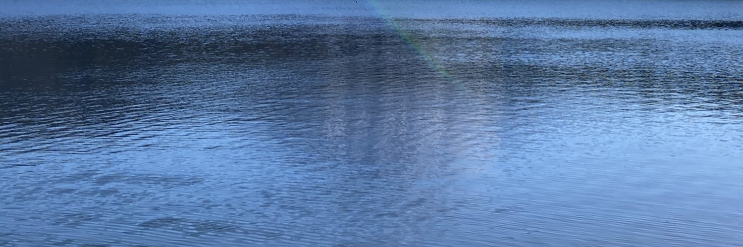 ogipi's profile banner image