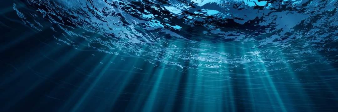 Comisión Permanente del Pacífico Sur - CPPS banner