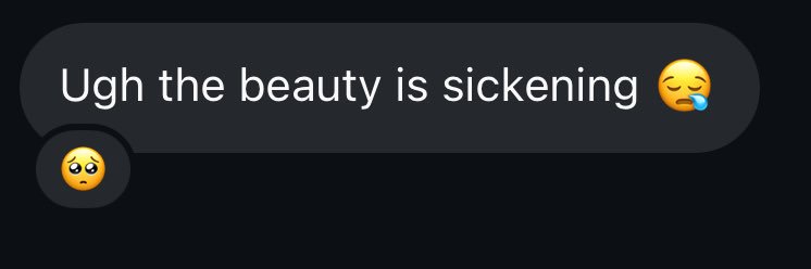 Big S ᥫ᭡. banner