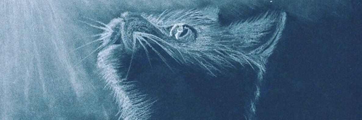 yfbajis's profile banner image