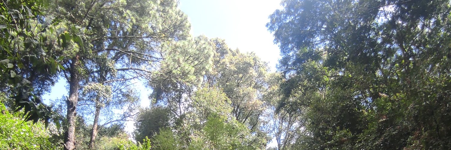 andrelourdess's profile banner image