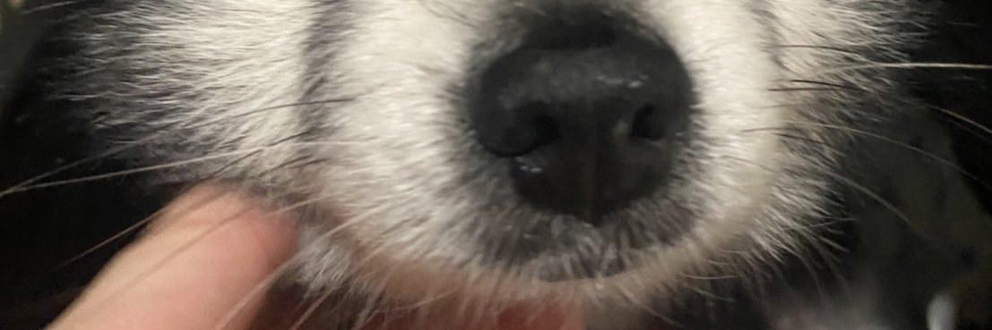 OfKaynm's profile banner image