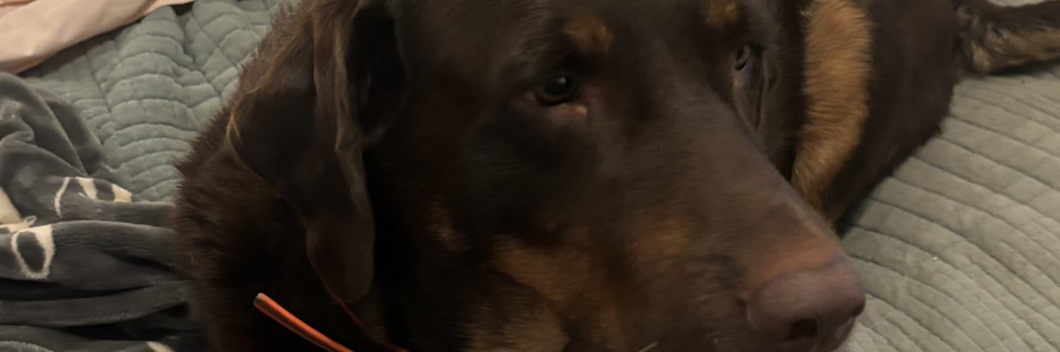 anoonpac's profile banner image