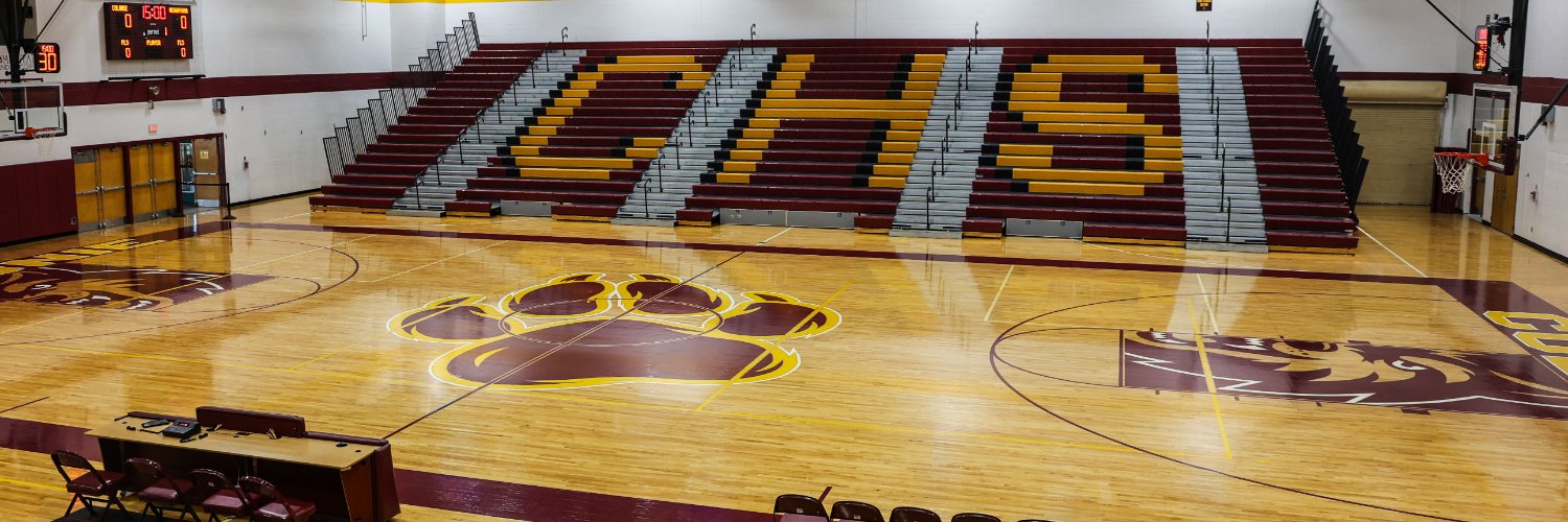 Colonie Athletics banner