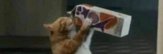 𝙢𝙚𝙡𝙩𝙚𝙙 𝙗𝙪𝙩𝙩𝙚𝙧™ banner