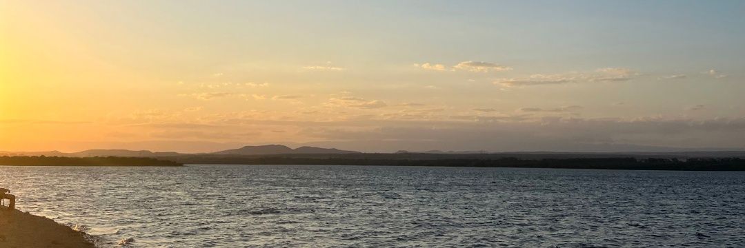 sseleribba's profile banner image