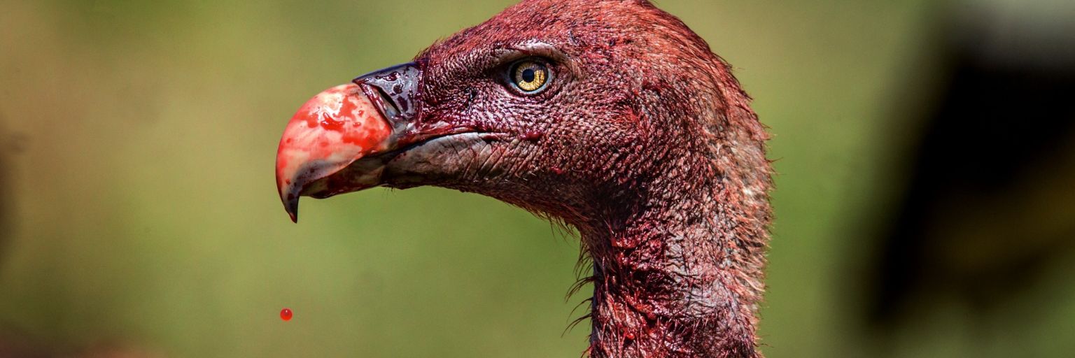 ANGER ISSUES 😡 banner