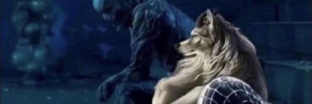 azu banner